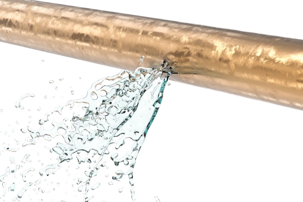 professional leak detection services in St. Louis, MO