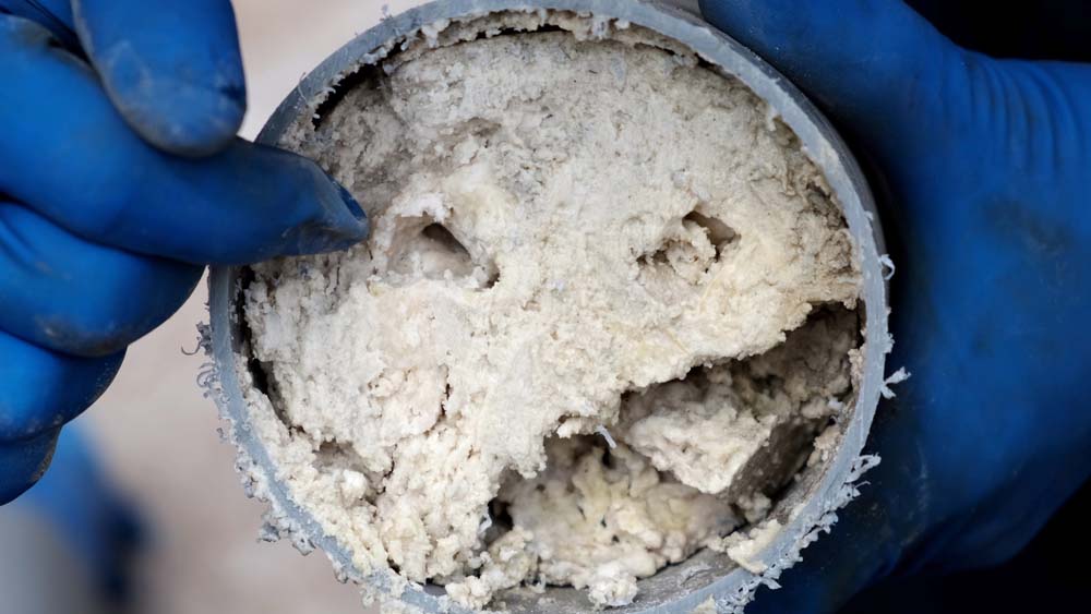 clogged sewer pipe with grease St. Louis
