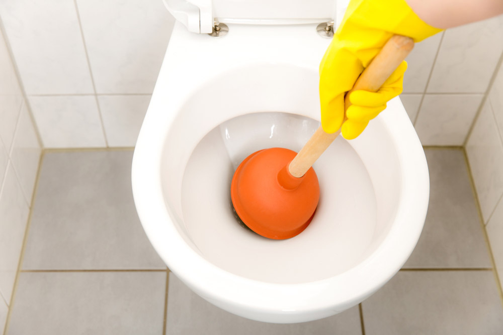 toilet plunger
